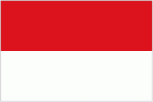 Timnas Indonesia