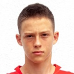 M. Subotic