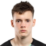 D. Fesiuk