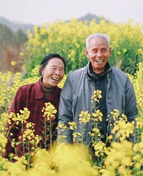Ikigai: Rahasia Umur Panjang ala Orang Jepang