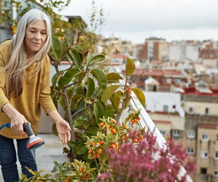Slow Living: Seni Menikmati dengan Memperlambat Laju Kecepatan Hidup