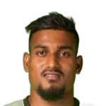 N. Fernandes