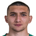 N. Karabashev