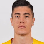 D. Vokic